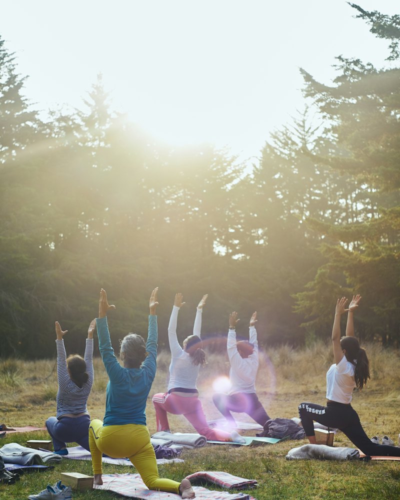 Gün doğumunda çimenlerde yoga yapan grup