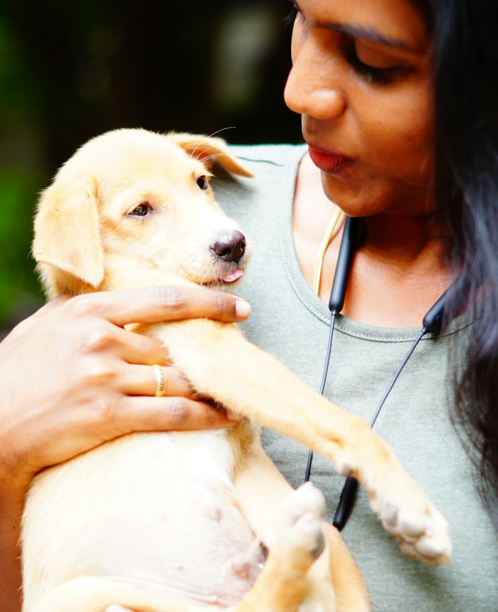 Kucağında sarı bir yavru köpeği şefkatle tutan kadın