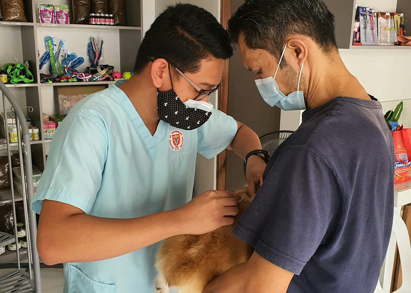 Kabul bölümünde iki çalışan, sahibinin kucağındaki köpeği karşılıyor
